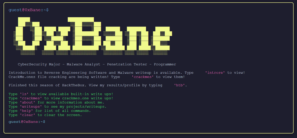 0xBane terminal-style cybersecurity portfolio